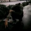 muhamadfjrmuhandis