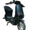onlyvektor12345