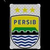 muhamaddavidsyahp4