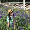 lan.huong35