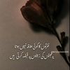 user5902269657763