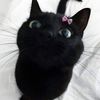 .black.cat21