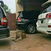 emad.moiz.motors