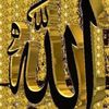 user87908543148572