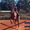 aurora_equestrian06