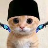 sadad.sarif