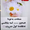 parwin.mustafa7
