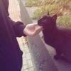 roro_911.e