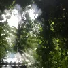 hajnh_vaan220513