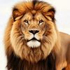 eduardo.sanclemen