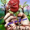 haji.muhammad.gul1