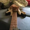 dennis.isretarded