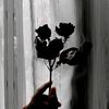 ceu_ama🥀