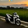 dhii293