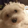 isabelle.aubree01