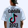 apdullahiali5