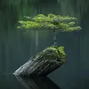 dong.thanh87