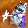 edits_esquizos