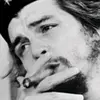 userguevara