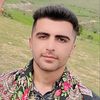 farzad.gholami