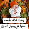 rooa.ali87