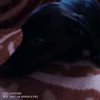 vasio4ik_united
