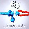 user7983299074411