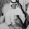 alwafi__971