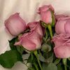 basma.2571