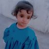zimal.dool7