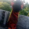 majman79