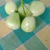 perum60