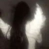 dixii_96