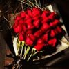 samira.gnf
