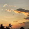 thanhtrieu031