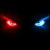 _kader_wolf