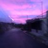 cristelsu1