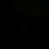 whaneenelsayed65