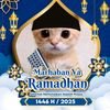 rayqalrayyan15