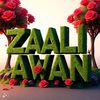 zaali.malik
