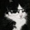 neat_gally25