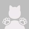 user9982057918355