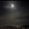 wael_azghanghan