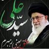 sayed.ali469