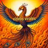 Videos virales