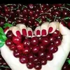 lida.noman4