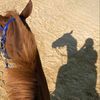 fatmahamdy445