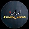 usaamaking410