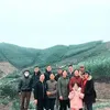 nhidangmacrang