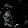 ailarov_vibe